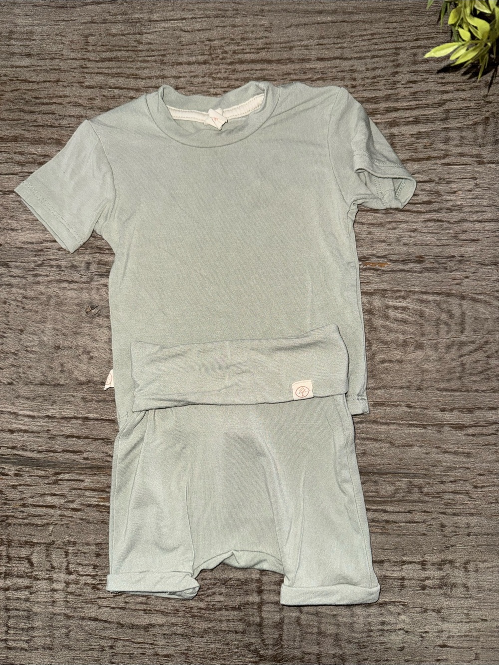 Tenth & Pine bamboo shorts set size 0-3 months green